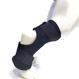 Dog OmniBrace - OmniBrace