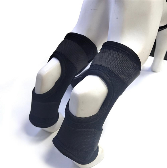 Dog OmniBrace - OmniBrace
