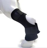 Dog OmniBrace - OmniBrace