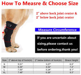 Dog OmniBrace - OmniBrace